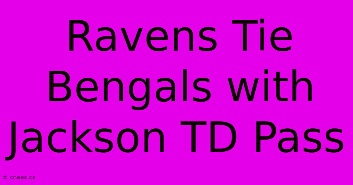 Ravens Tie Bengals With Jackson TD Pass 