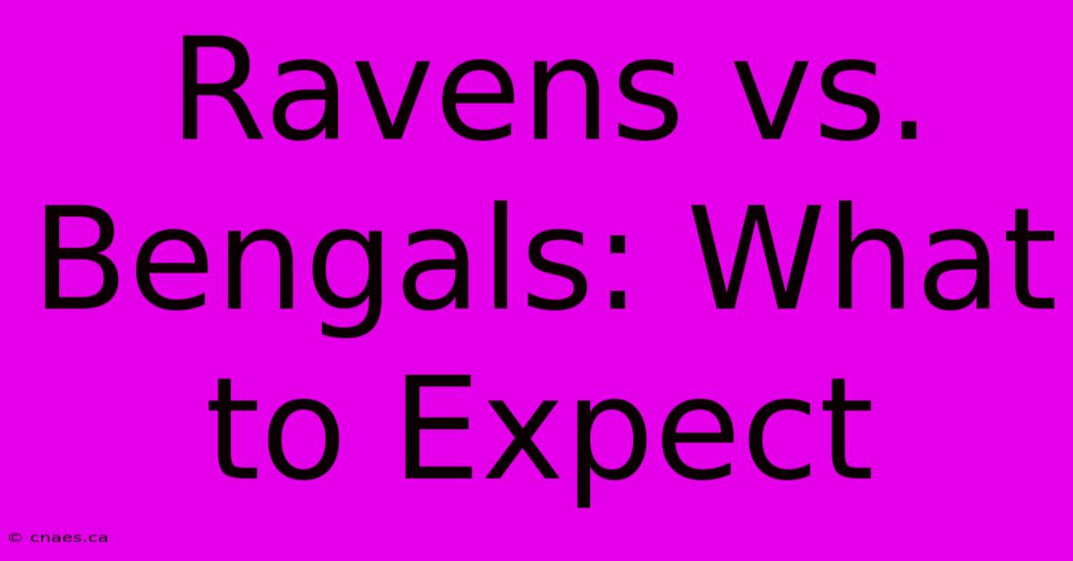 Ravens Vs. Bengals: What To Expect 