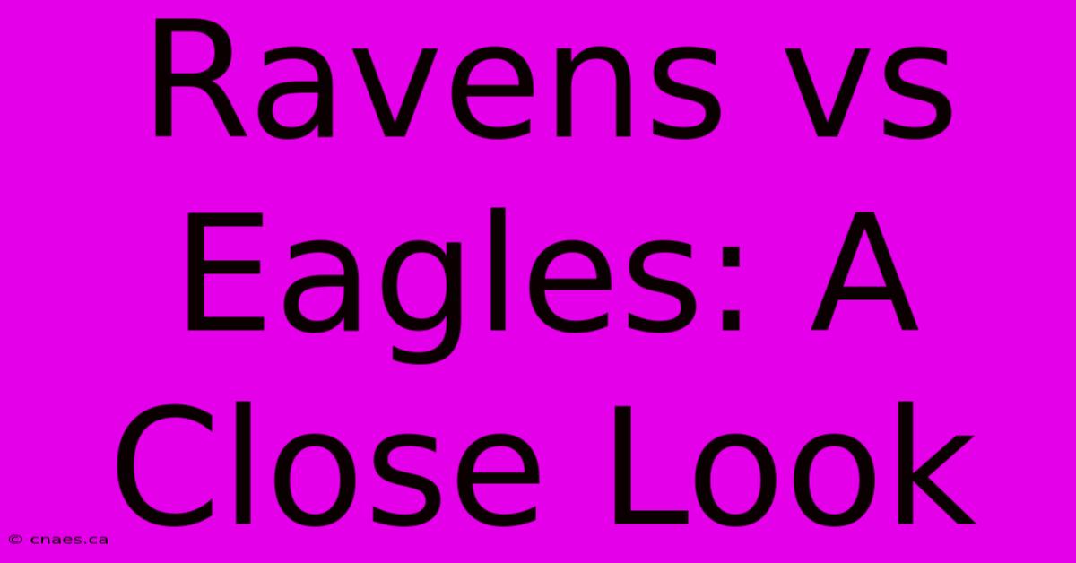 Ravens Vs Eagles: A Close Look