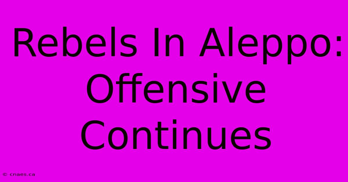 Rebels In Aleppo: Offensive Continues