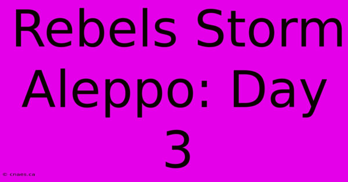 Rebels Storm Aleppo: Day 3