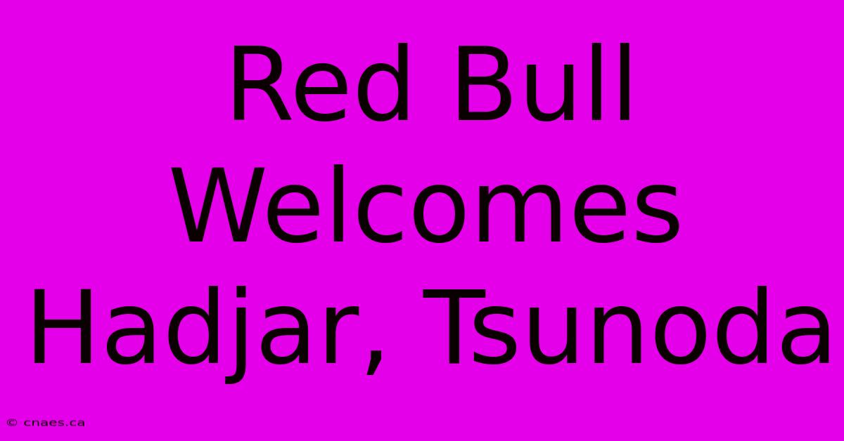 Red Bull Welcomes Hadjar, Tsunoda