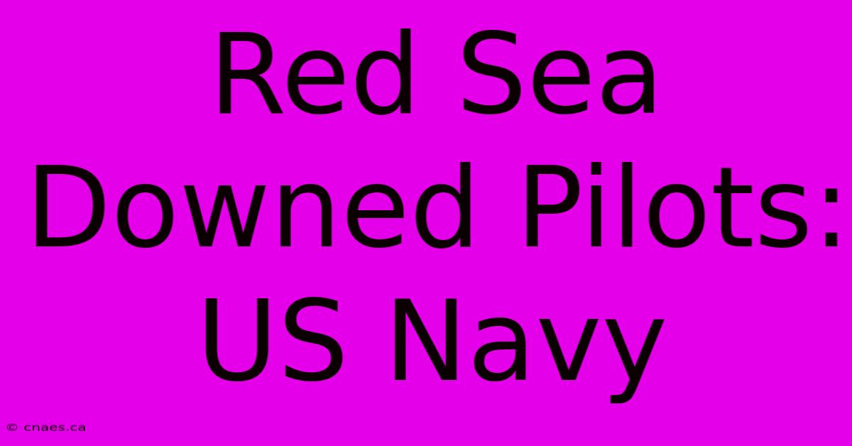 Red Sea Downed Pilots: US Navy