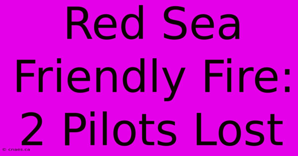 Red Sea Friendly Fire: 2 Pilots Lost