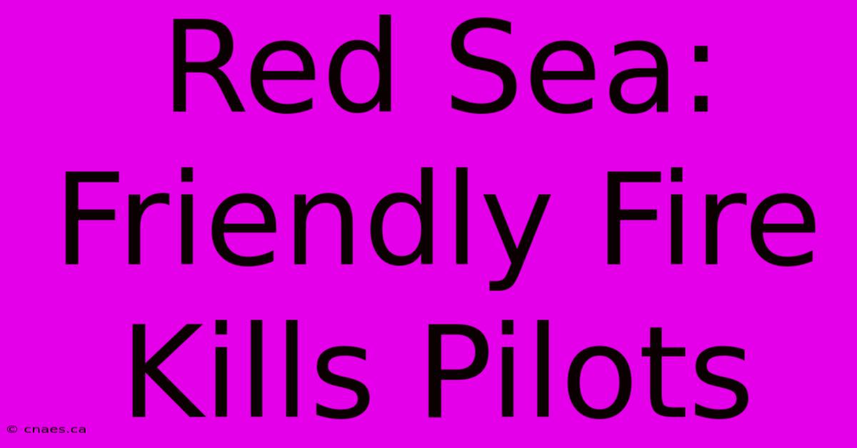 Red Sea: Friendly Fire Kills Pilots