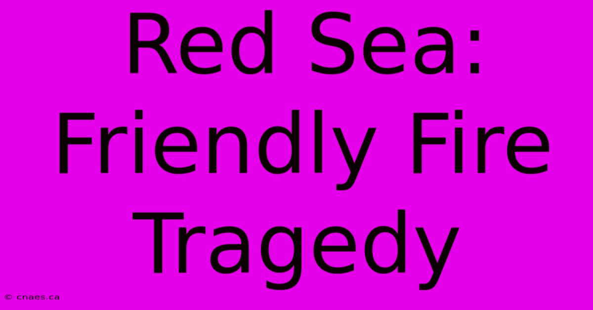 Red Sea: Friendly Fire Tragedy