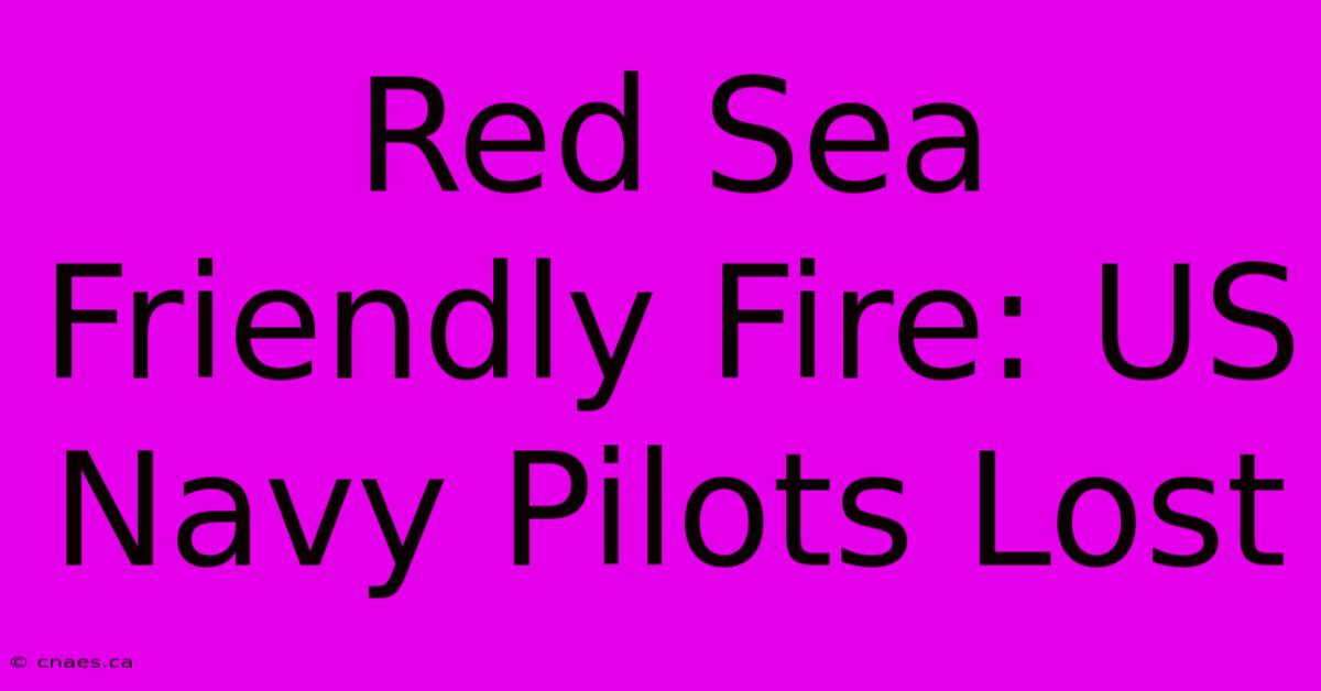 Red Sea Friendly Fire: US Navy Pilots Lost