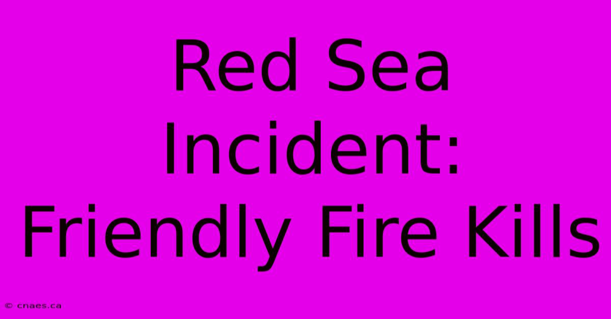 Red Sea Incident: Friendly Fire Kills