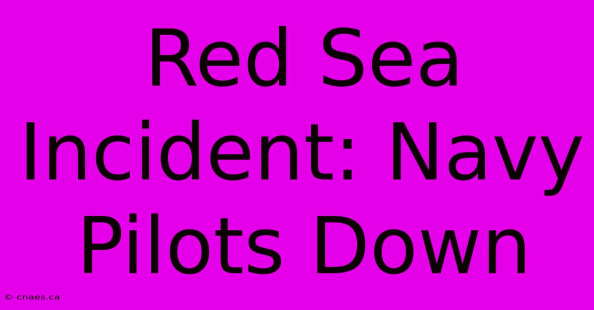 Red Sea Incident: Navy Pilots Down