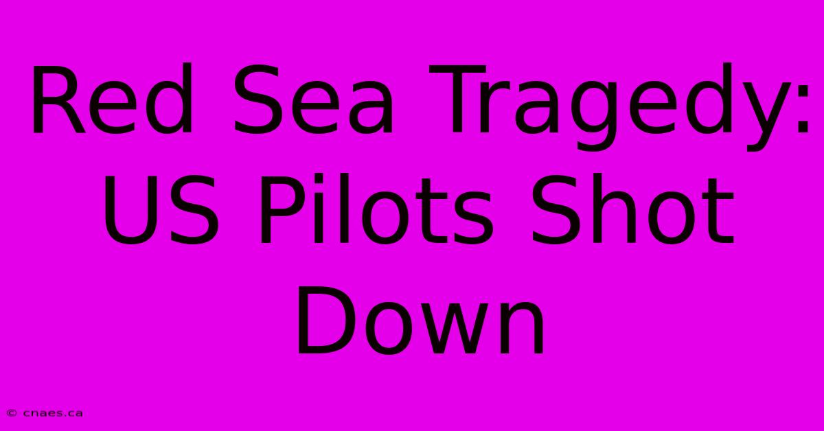 Red Sea Tragedy: US Pilots Shot Down