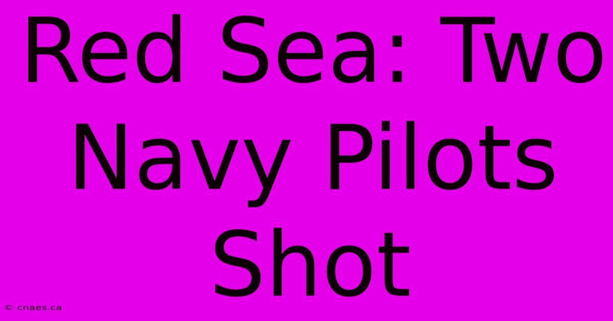 Red Sea: Two Navy Pilots Shot