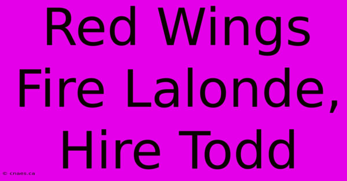 Red Wings Fire Lalonde, Hire Todd