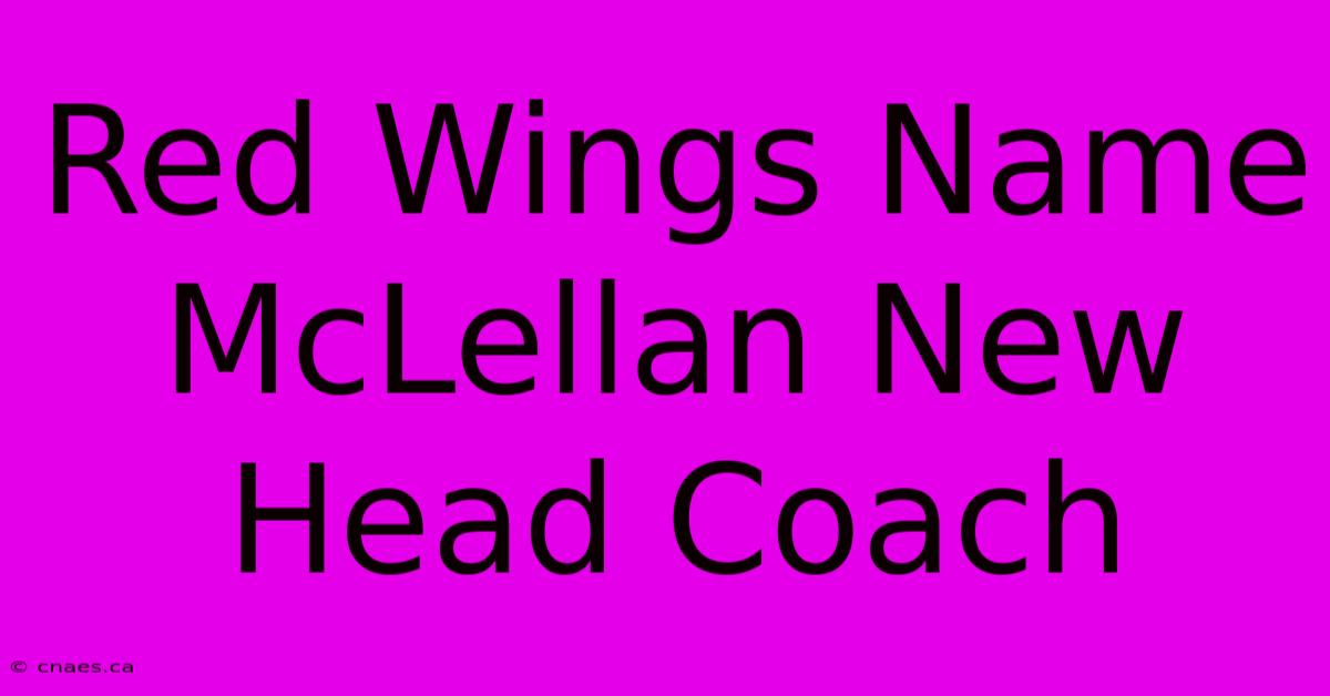 Red Wings Name McLellan New Head Coach