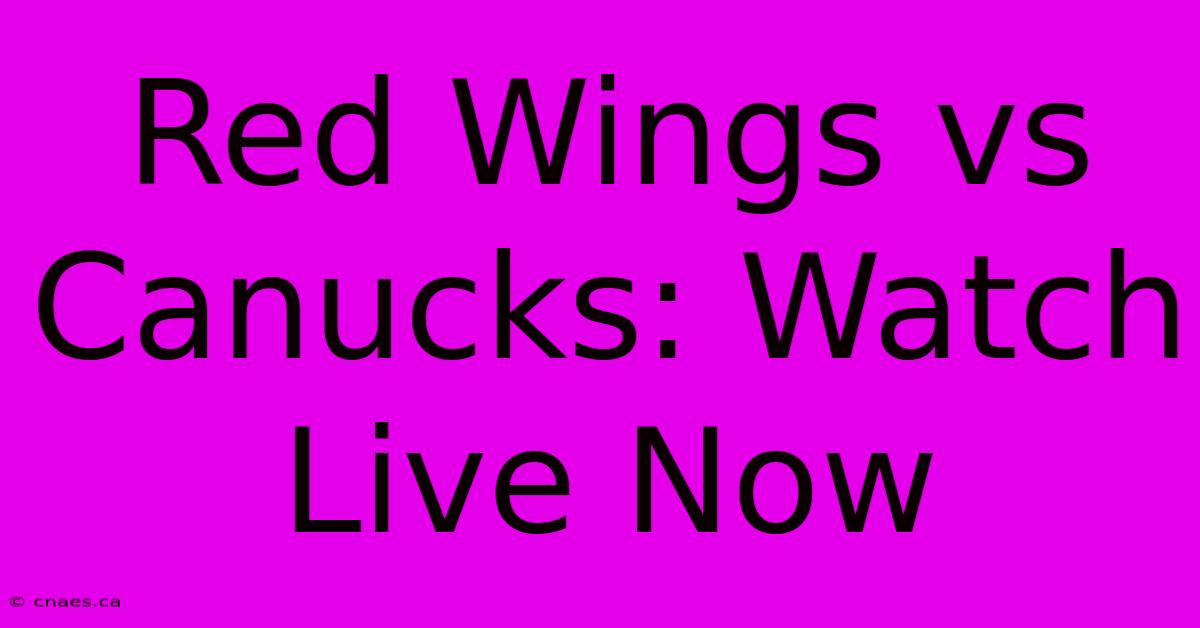 Red Wings Vs Canucks: Watch Live Now