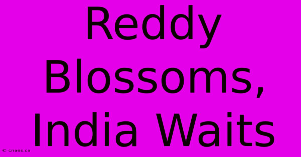 Reddy Blossoms, India Waits