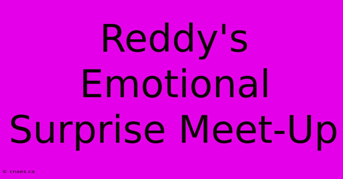 Reddy's Emotional Surprise Meet-Up