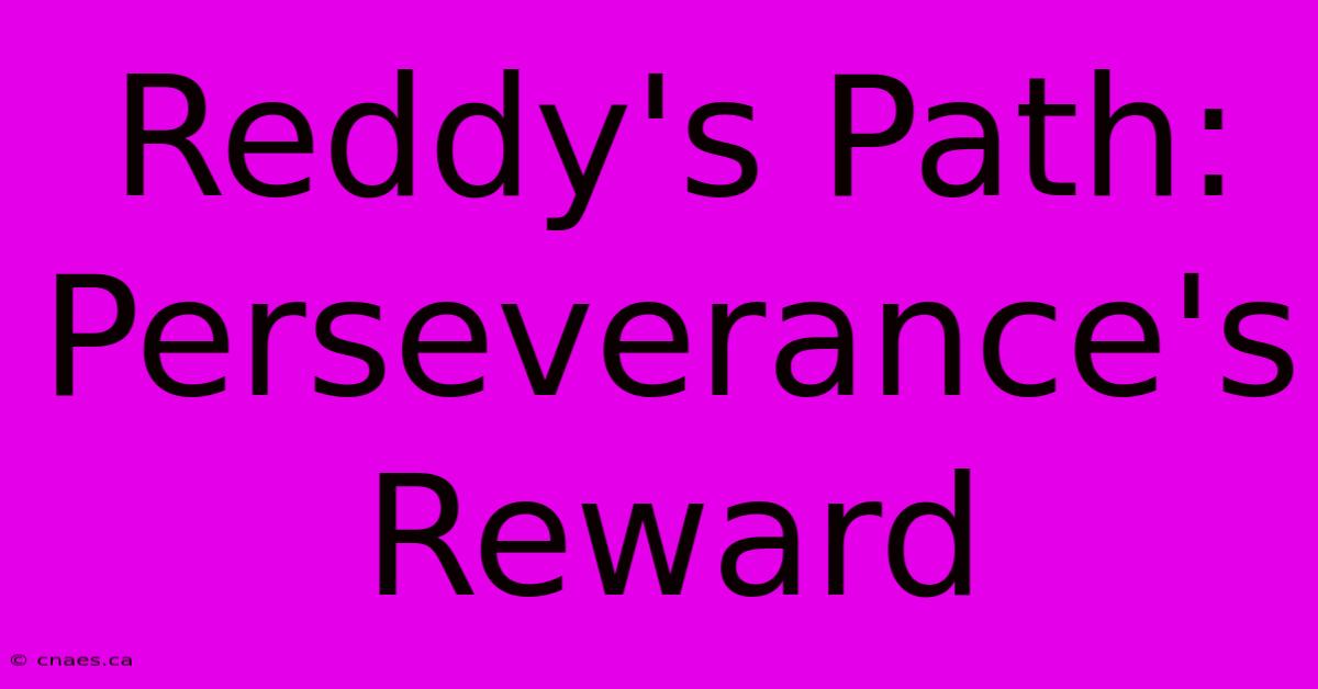 Reddy's Path: Perseverance's Reward