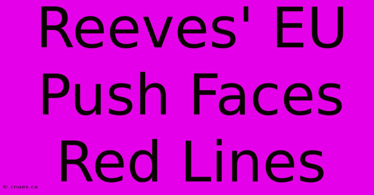 Reeves' EU Push Faces Red Lines