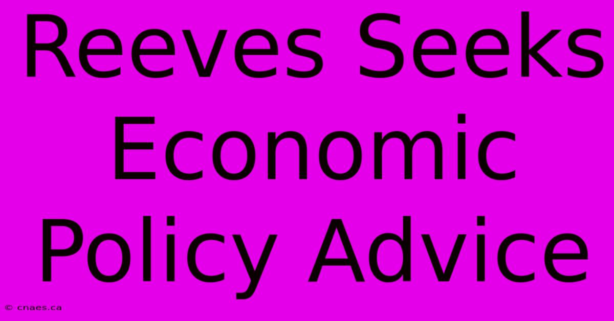 Reeves Seeks Economic Policy Advice