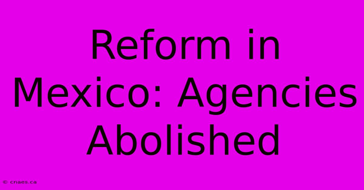 Reform In Mexico: Agencies Abolished  