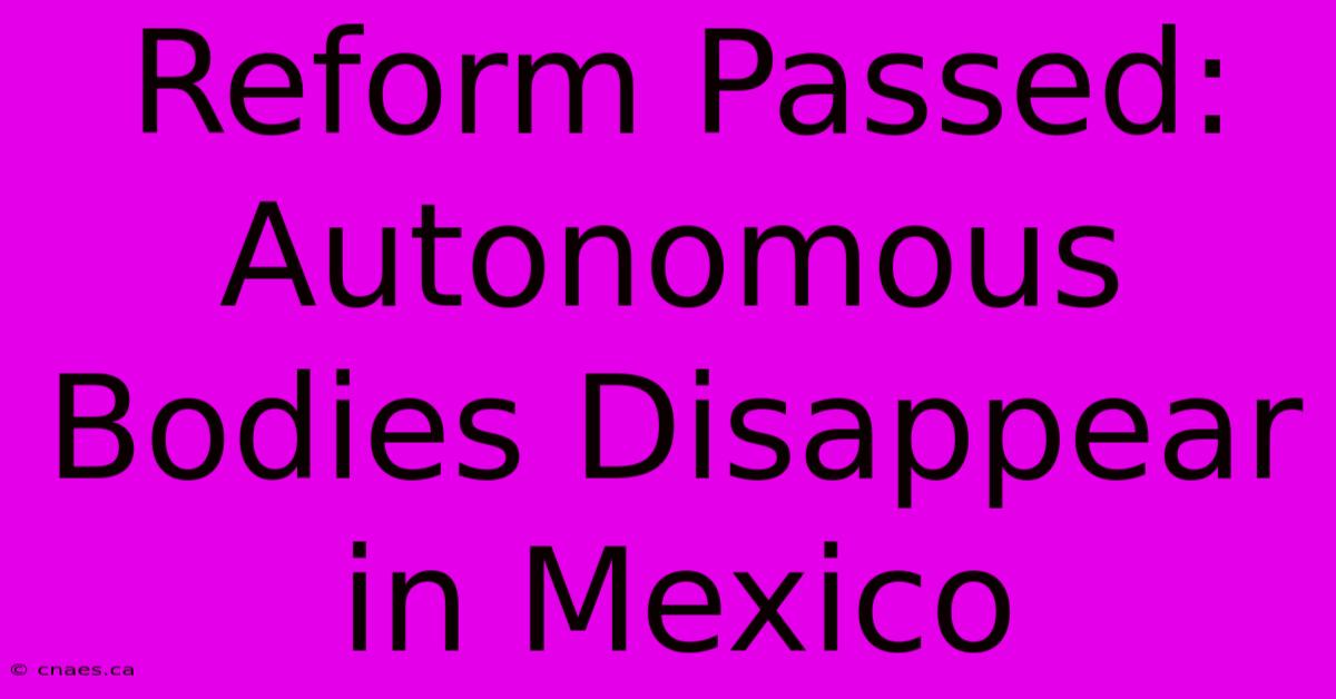 Reform Passed: Autonomous Bodies Disappear In Mexico