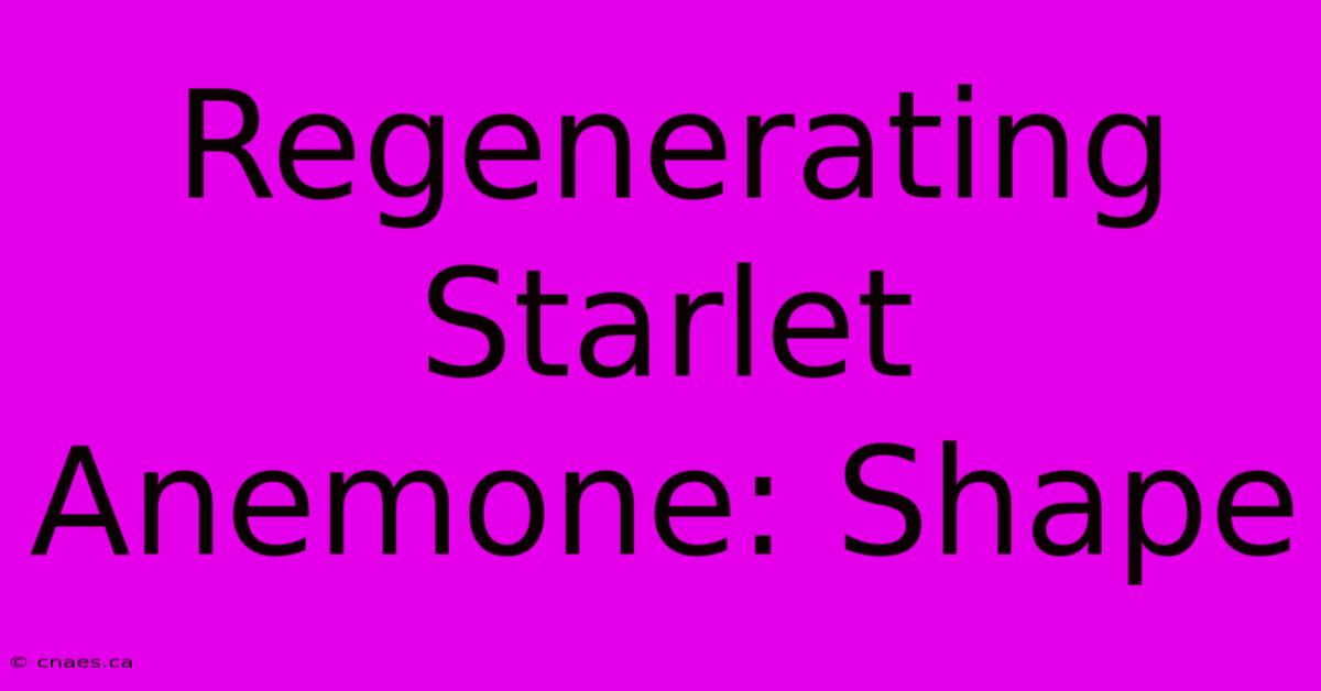 Regenerating Starlet Anemone: Shape