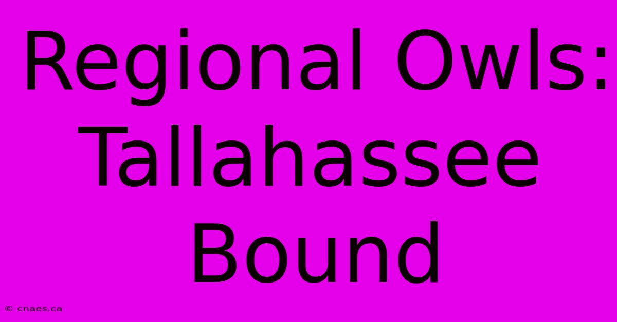 Regional Owls: Tallahassee Bound