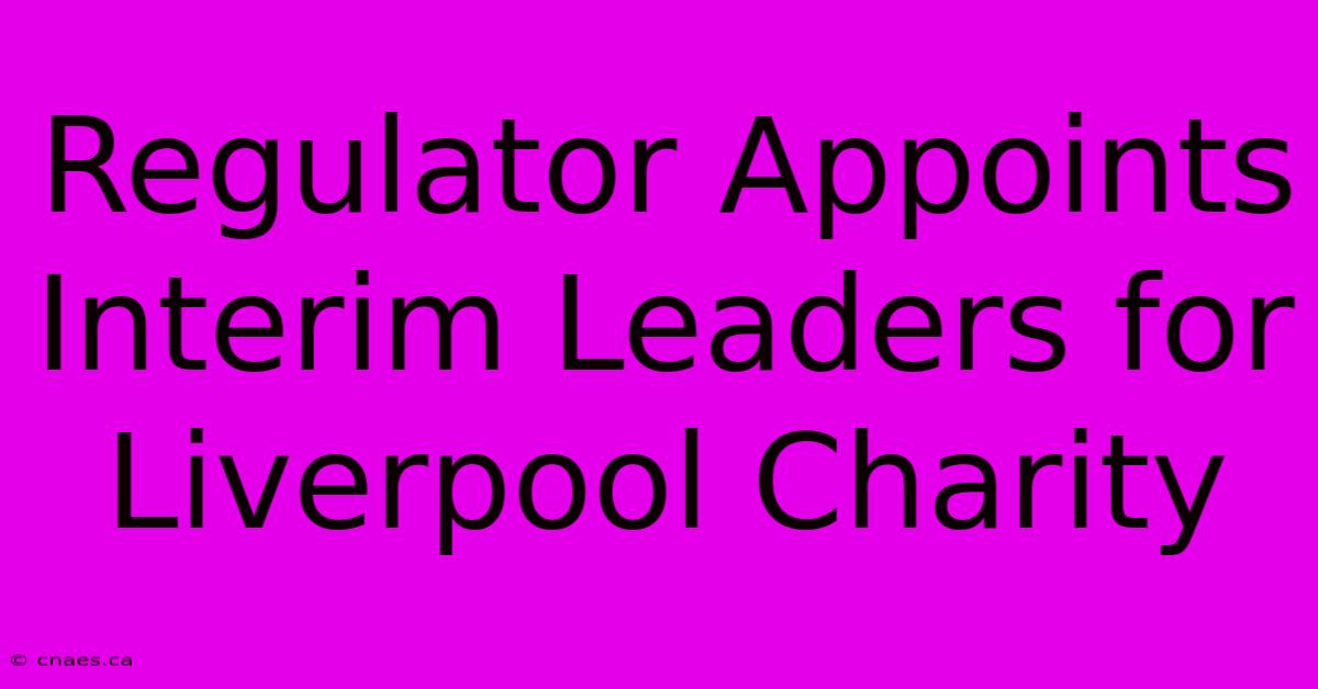 Regulator Appoints Interim Leaders For Liverpool Charity