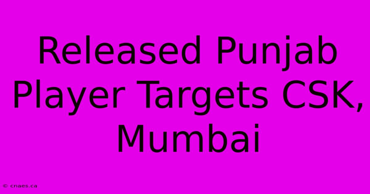 Released Punjab Player Targets CSK, Mumbai 