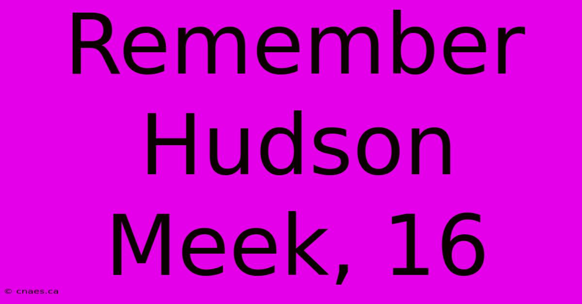 Remember Hudson Meek, 16