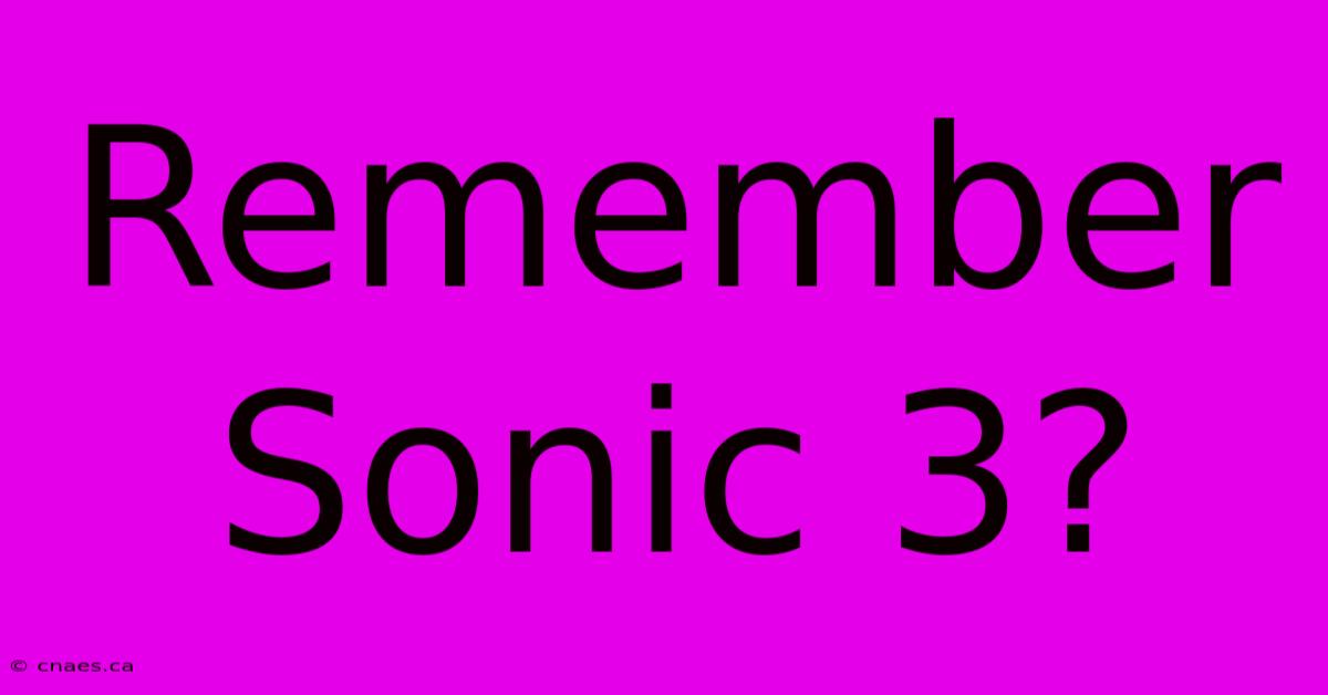 Remember Sonic 3?