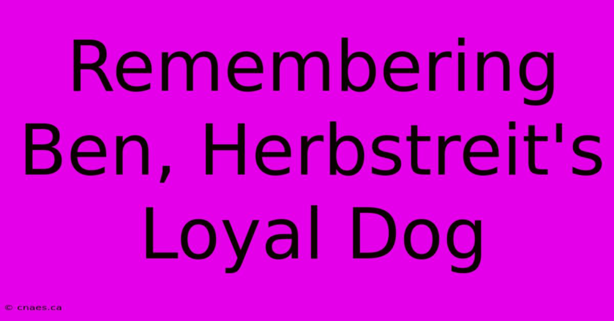 Remembering Ben, Herbstreit's Loyal Dog 