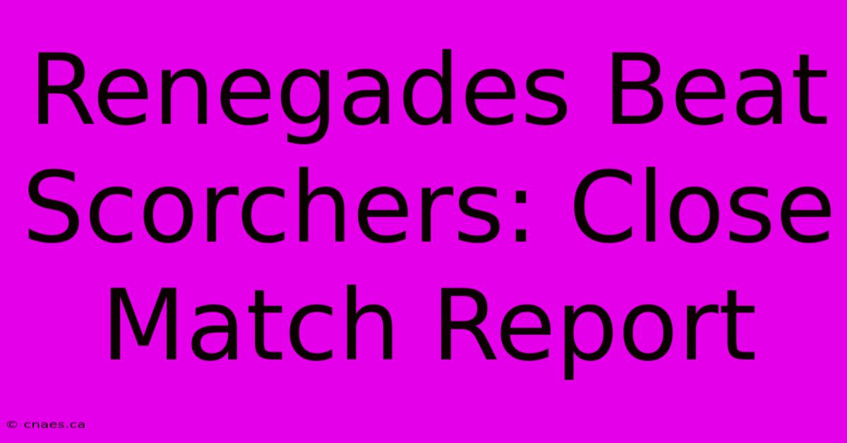 Renegades Beat Scorchers: Close Match Report