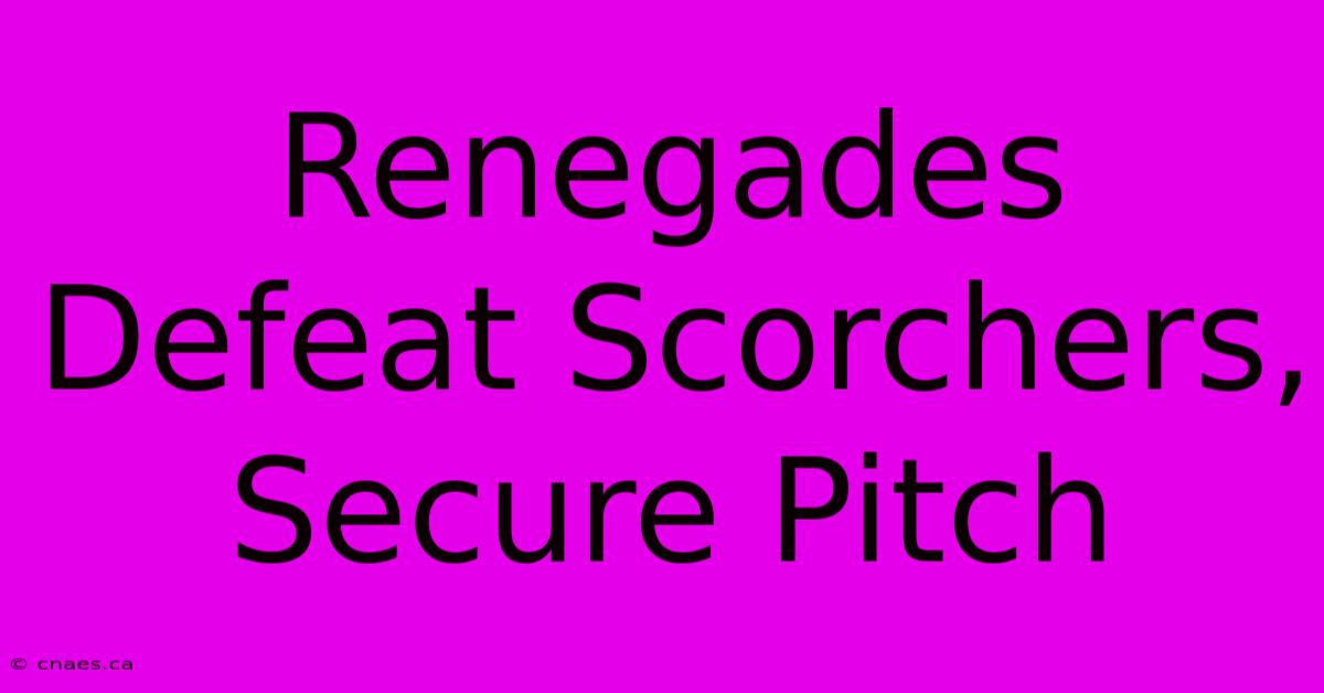 Renegades Defeat Scorchers, Secure Pitch