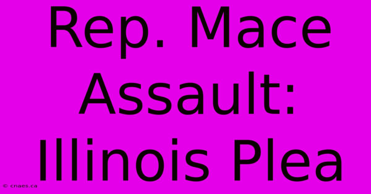 Rep. Mace Assault: Illinois Plea