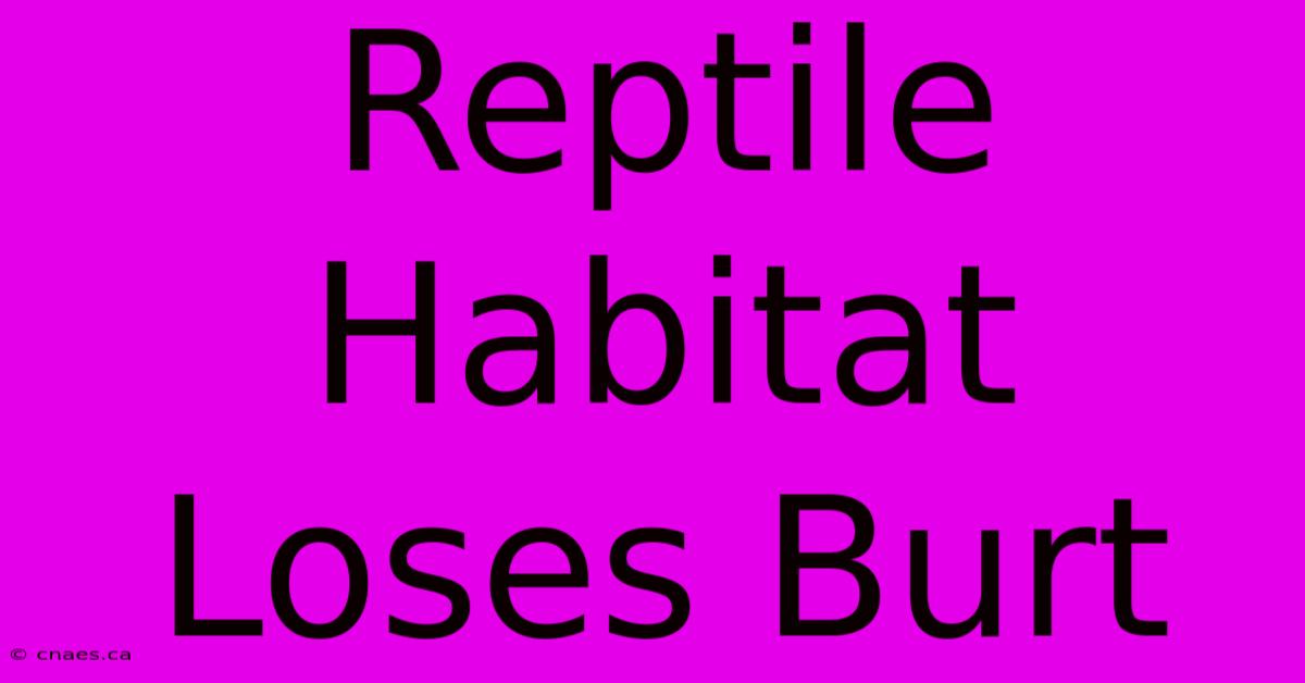 Reptile Habitat Loses Burt