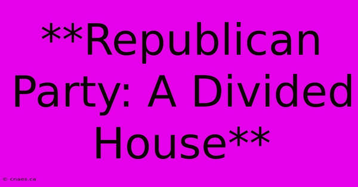 **Republican Party: A Divided House**