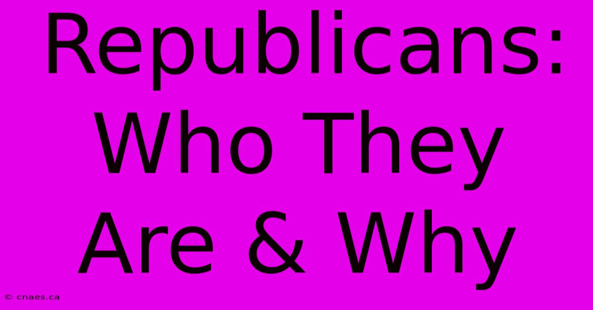 Republicans: Who They Are & Why 