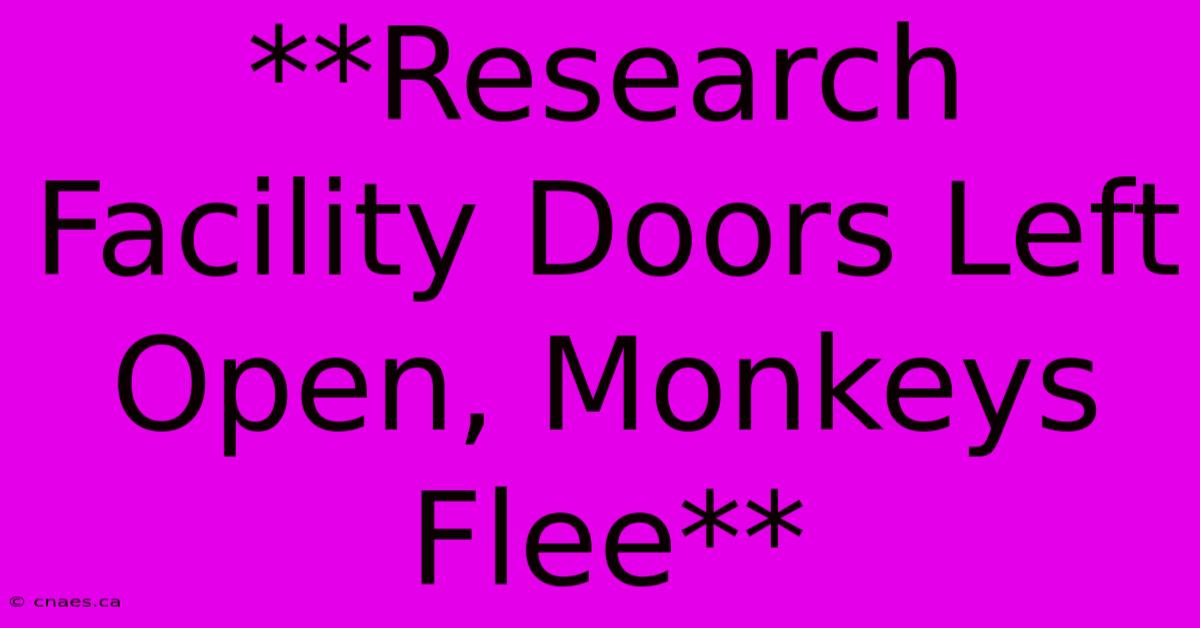 **Research Facility Doors Left Open, Monkeys Flee**