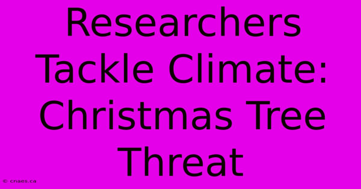 Researchers Tackle Climate: Christmas Tree Threat