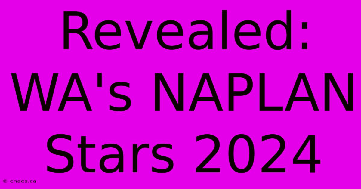 Revealed: WA's NAPLAN Stars 2024