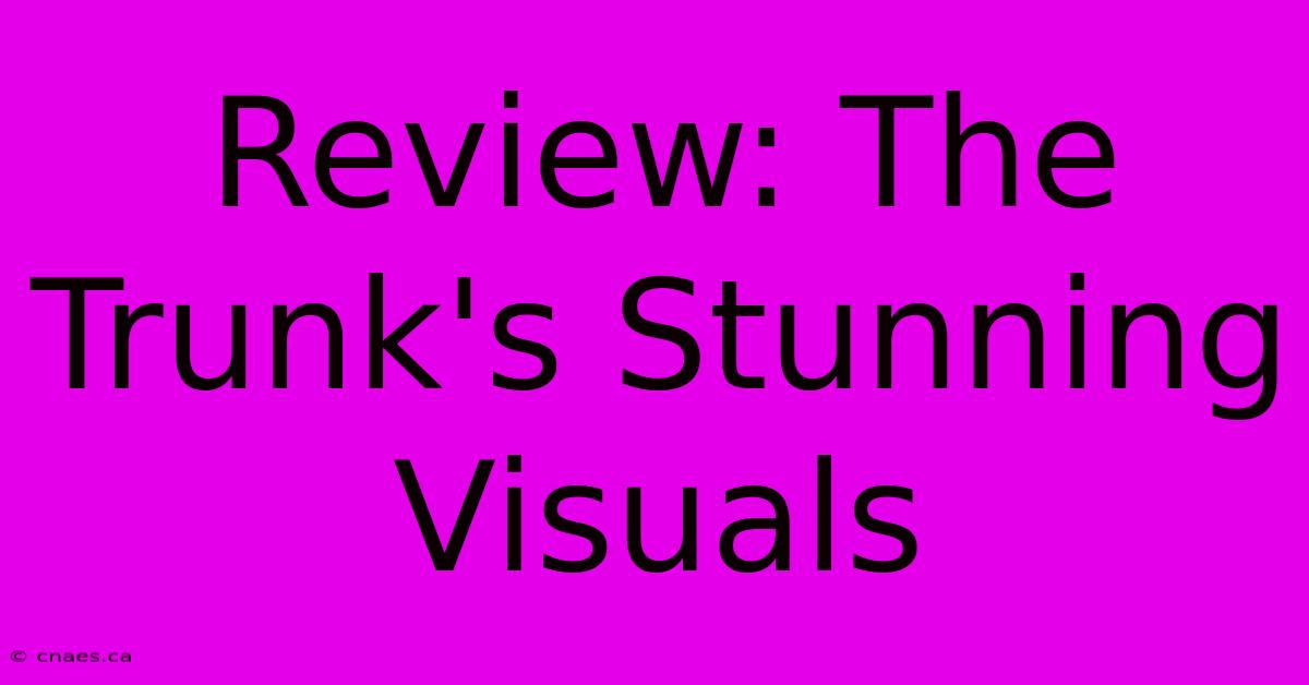 Review: The Trunk's Stunning Visuals