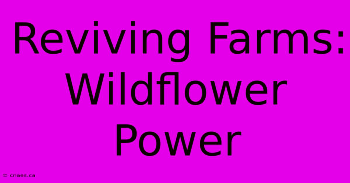 Reviving Farms: Wildflower Power