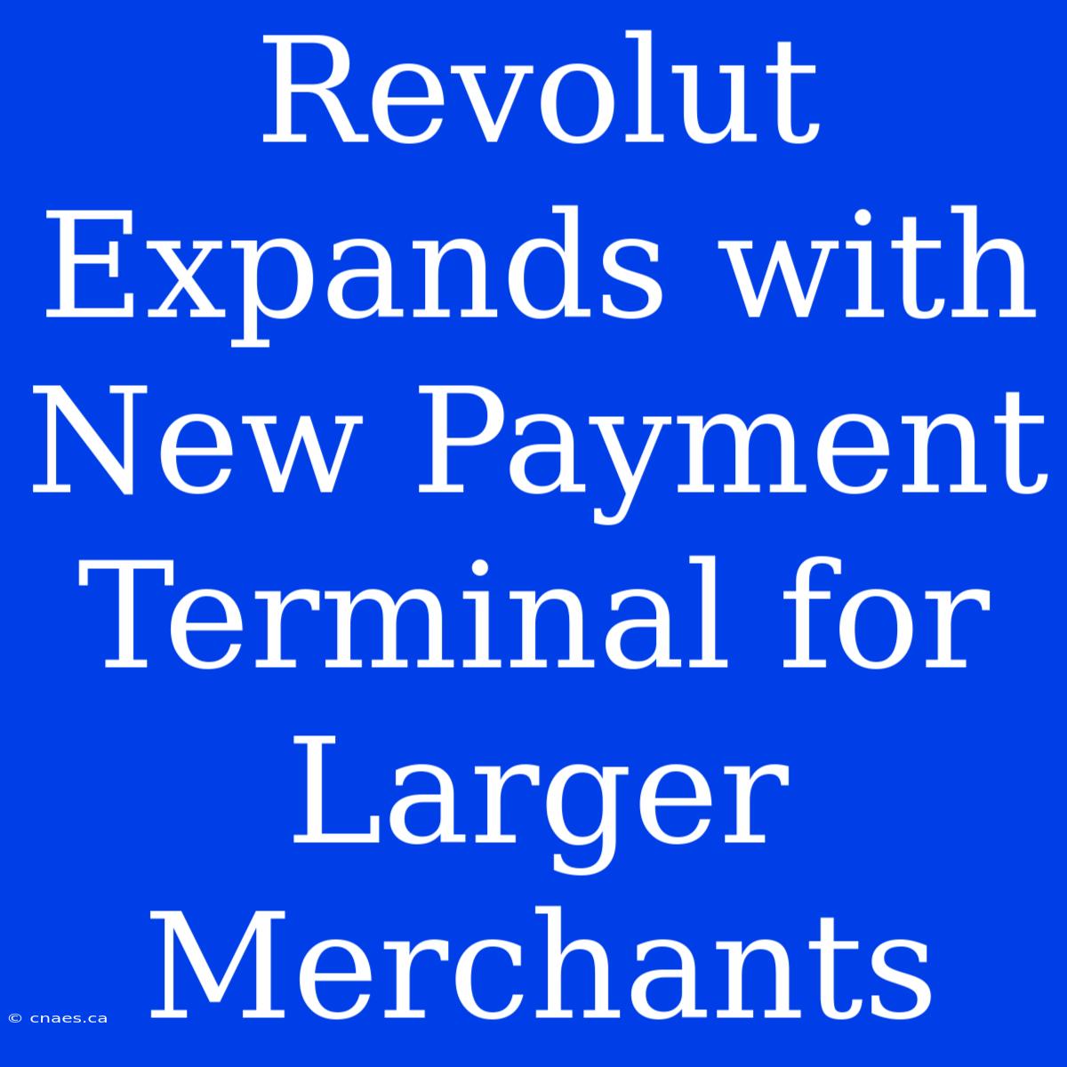 Revolut Expands With New Payment Terminal For Larger Merchants