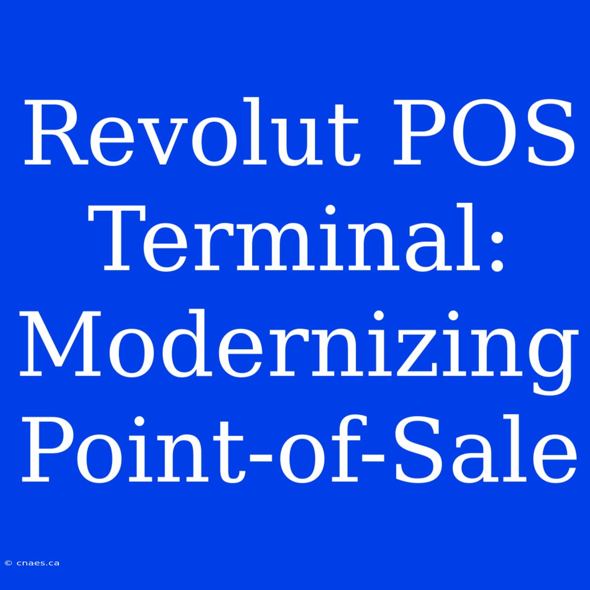 Revolut POS Terminal: Modernizing Point-of-Sale