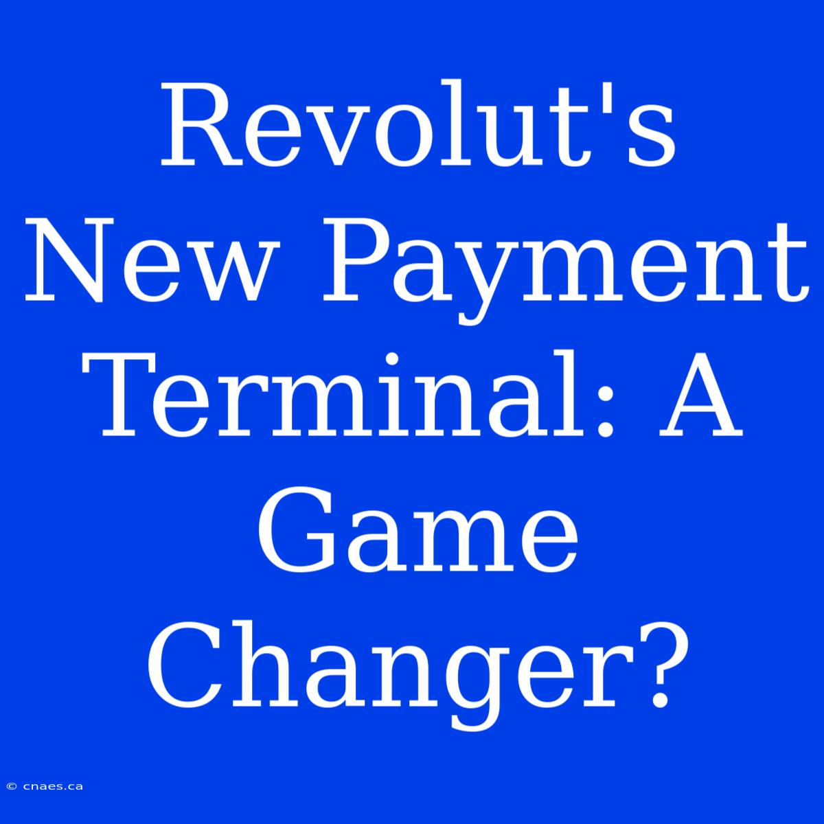 Revolut's New Payment Terminal: A Game Changer?