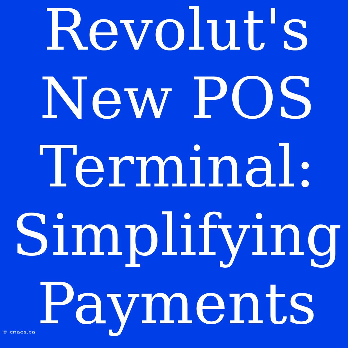 Revolut's New POS Terminal: Simplifying Payments