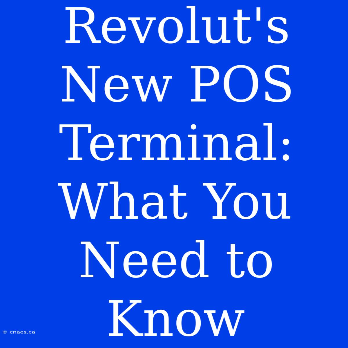 Revolut's New POS Terminal: What You Need To Know