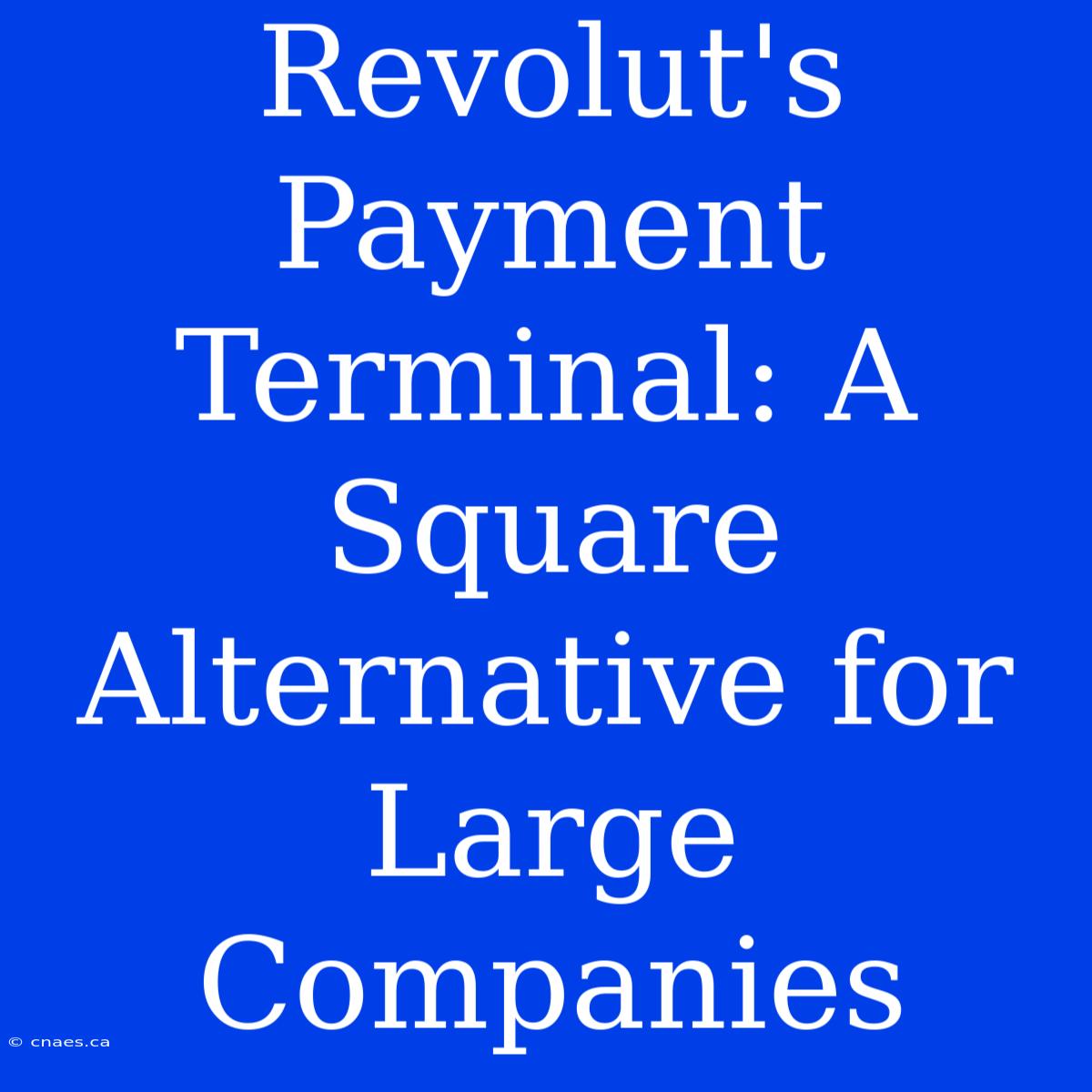 Revolut's Payment Terminal: A Square Alternative For Large Companies