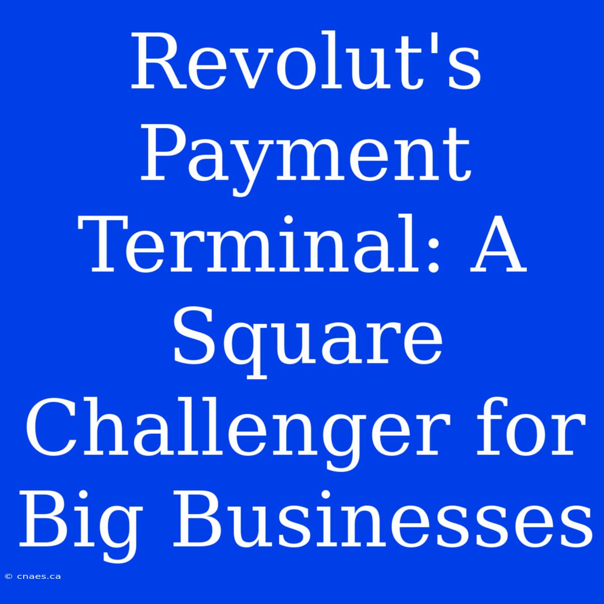 Revolut's Payment Terminal: A Square Challenger For Big Businesses